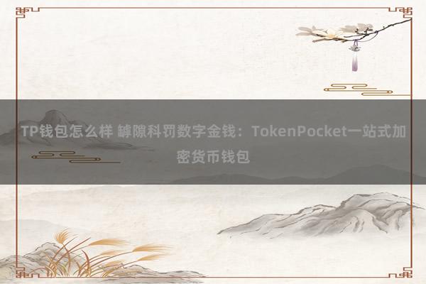 TP钱包怎么样 罅隙科罚数字金钱：TokenPocket一站式加密货币钱包