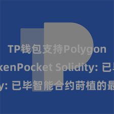 TP钱包支持Polygon TokenPocket Solidity: 已毕智能合约莳植的最好器具